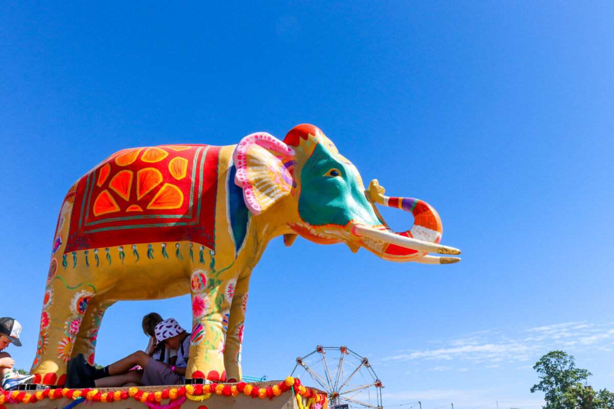 Painted elephant sculptures at Camp Bestival