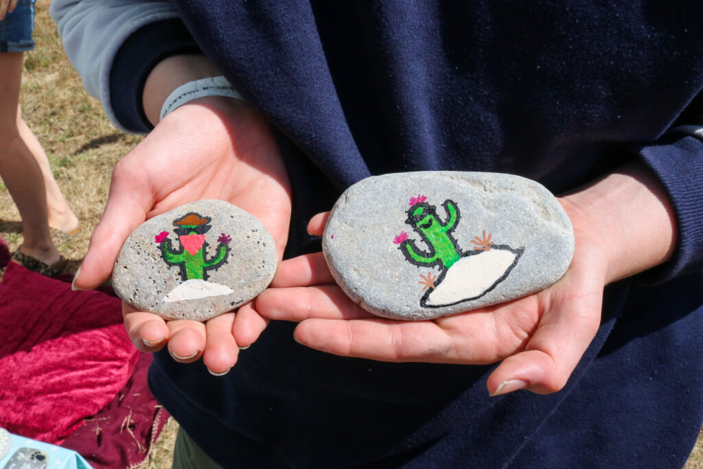 Two stones painted with cacti