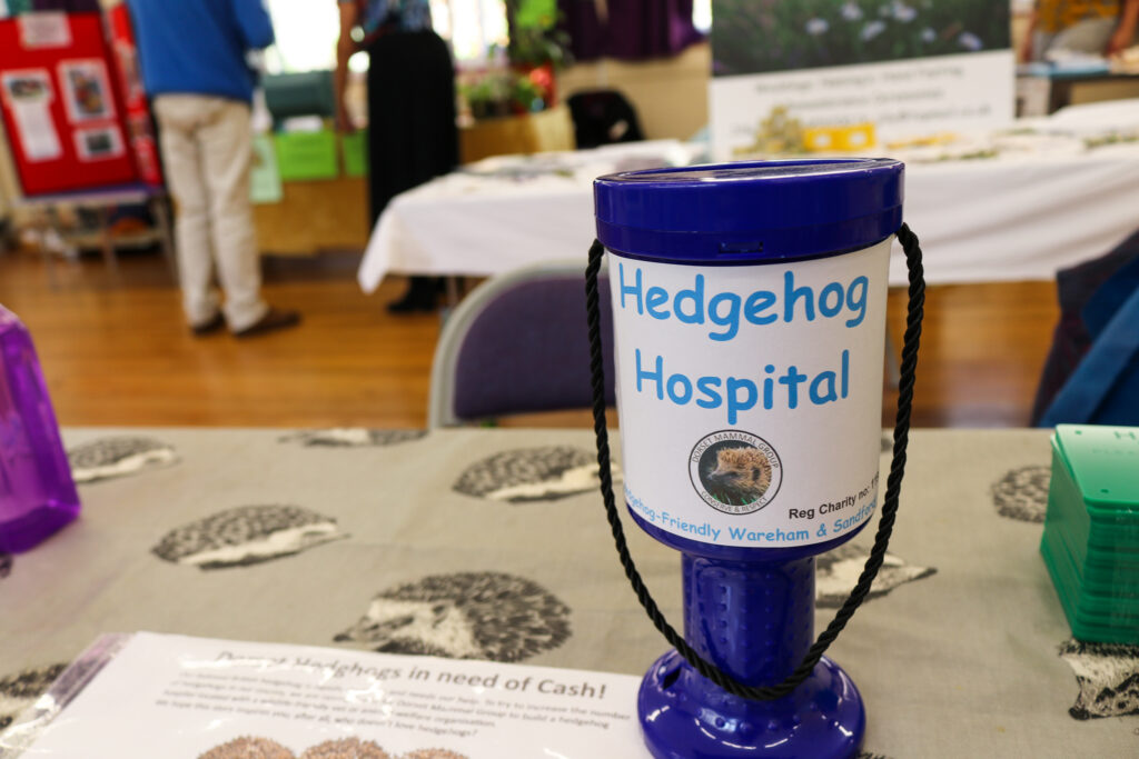 Hedgehog Hospital collection by Hedgehog-Friendly Wareham & Sandford