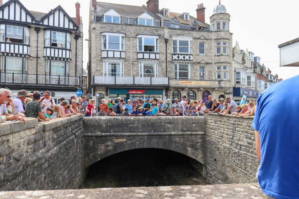 Crowd waiting for rubber ducks to appear from under the bridge