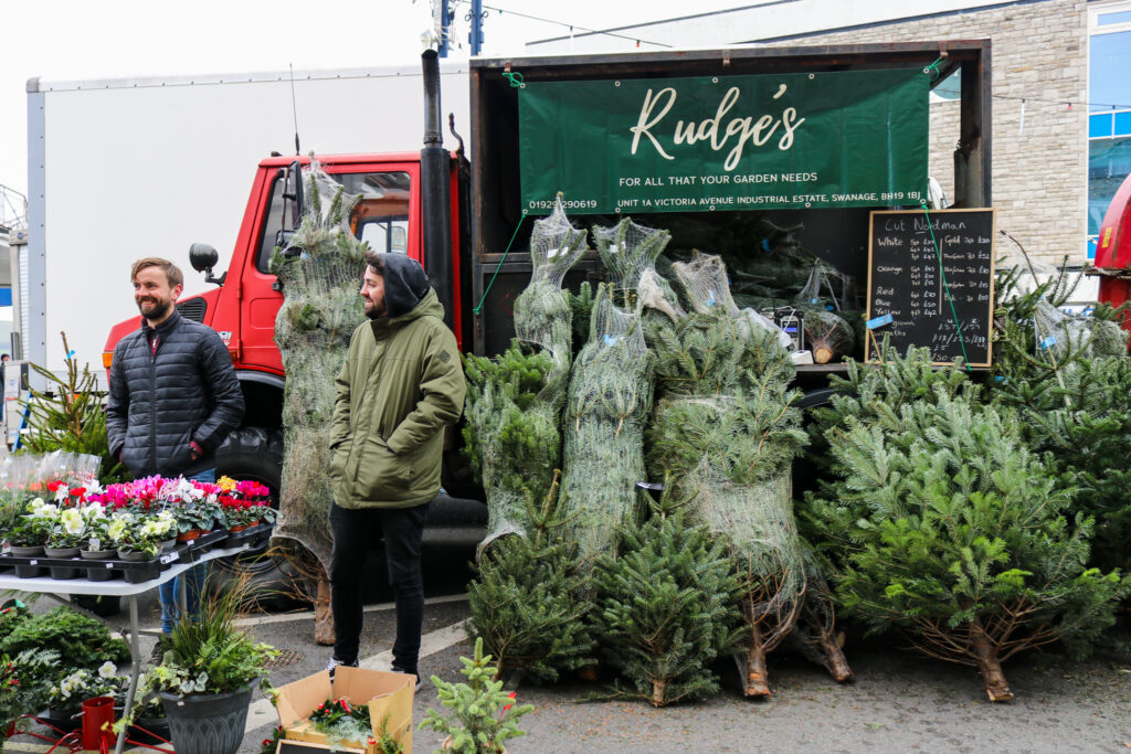 Christmas trees by Swanage-based Rudge's garden centre