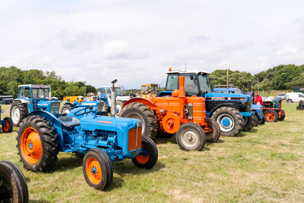 Vintage tractors on display