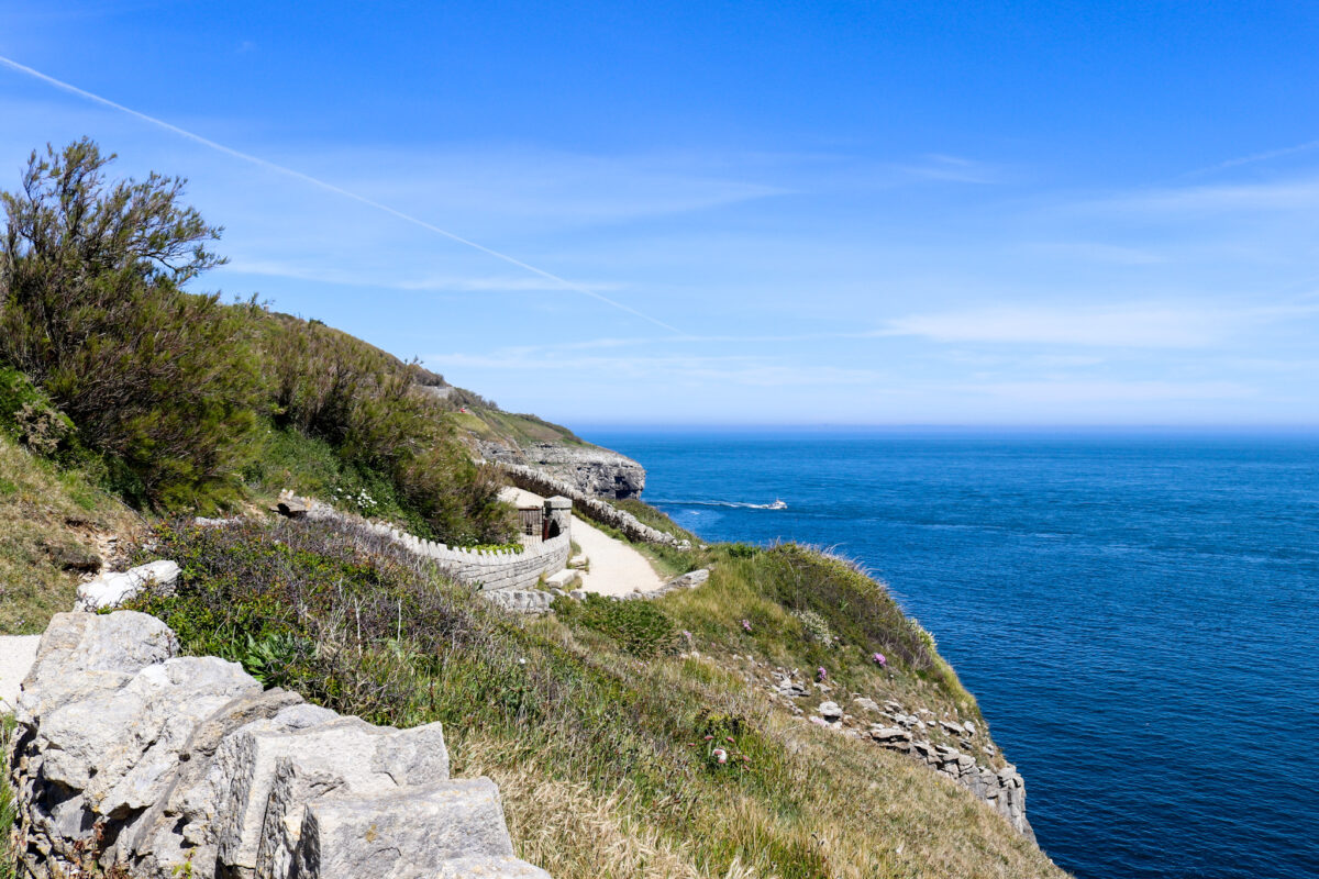 Winding cliff-top path at Durlston Country Park