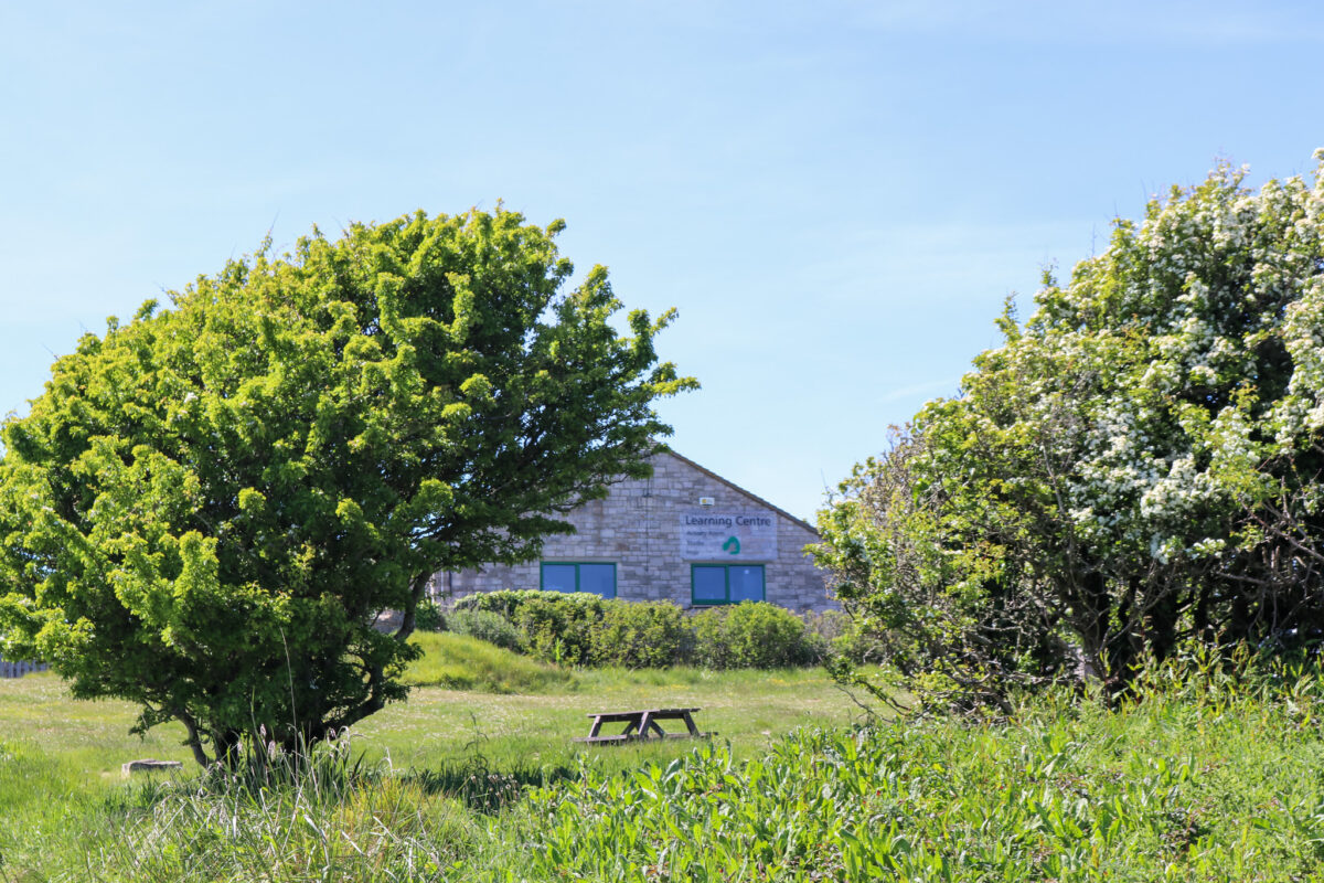 Durlston Country Park's Learning Centre outside space