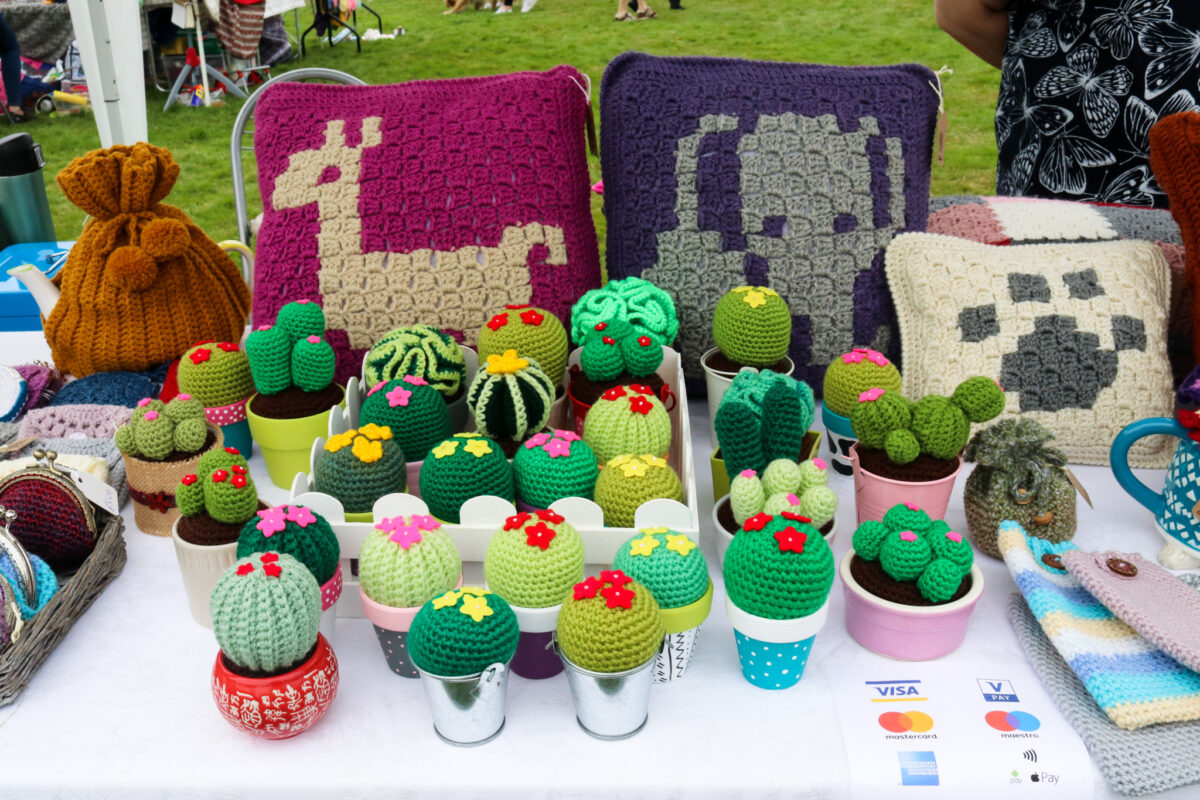 Handmade crochet cacti & cushions