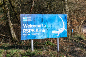 Welcome to RSPB Arne sign