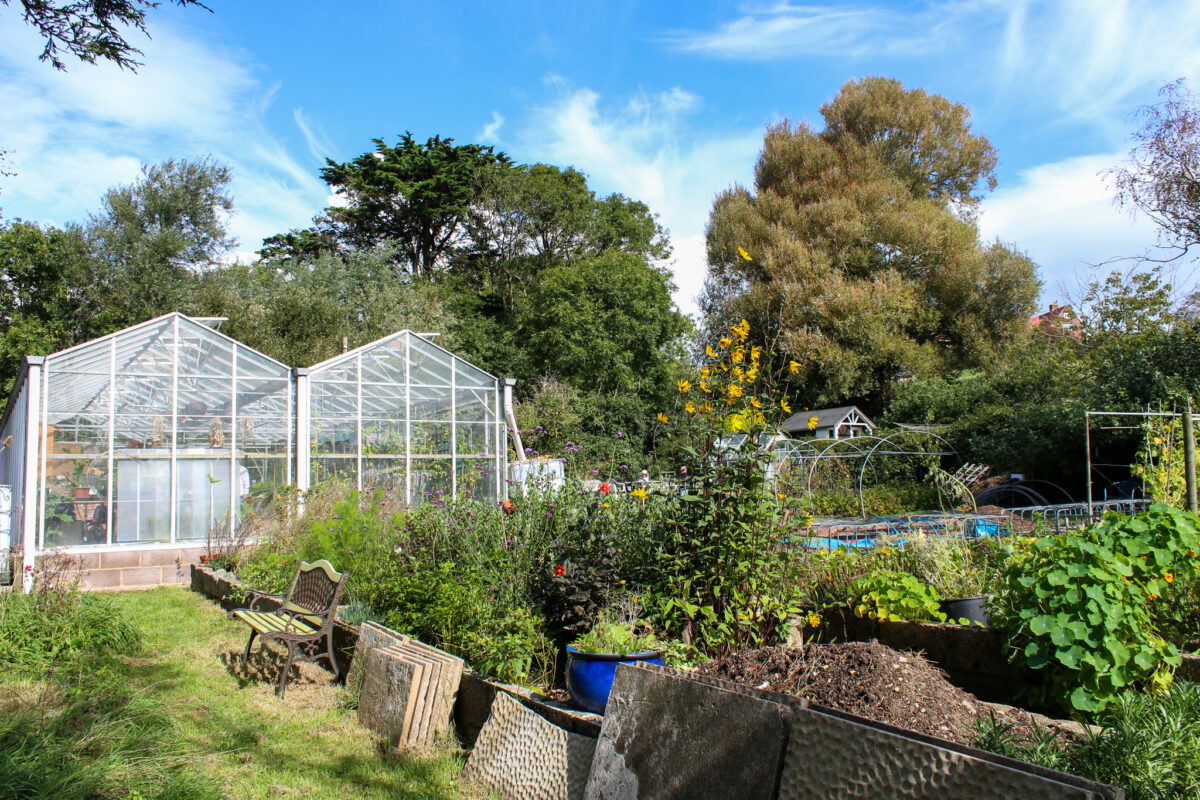 Greenhouse and raised beds