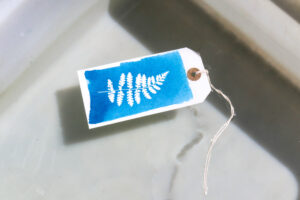 Cyanotype leaf git tag