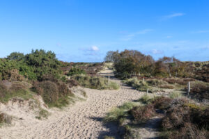 Sand dune path at Knoll Beach