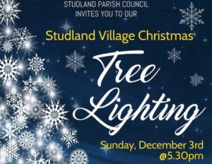 Studland Christmas tree lighting poster
