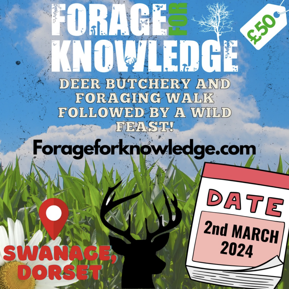 Forage for Knowledge deer butchery flyer