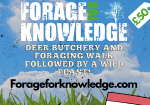 Forage for Knowledge deer butchery poster