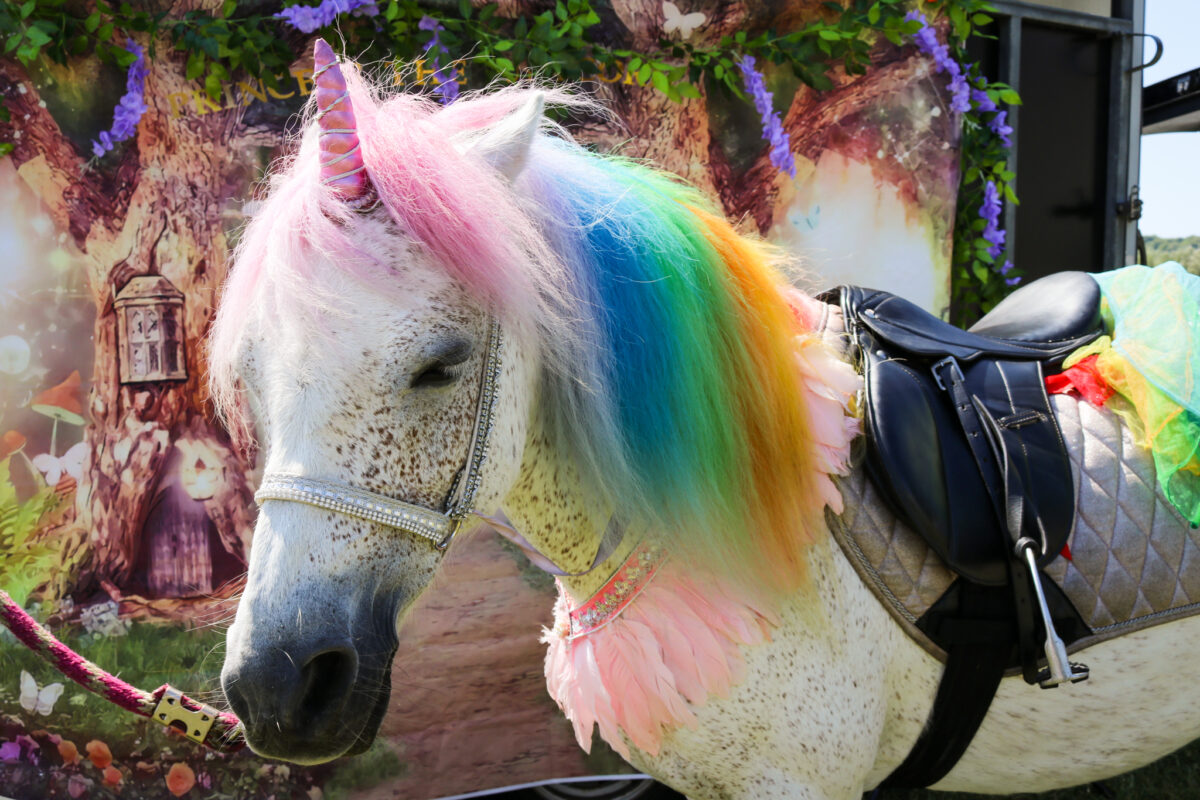 Ride on the Swanage Fairy Festival unicorn