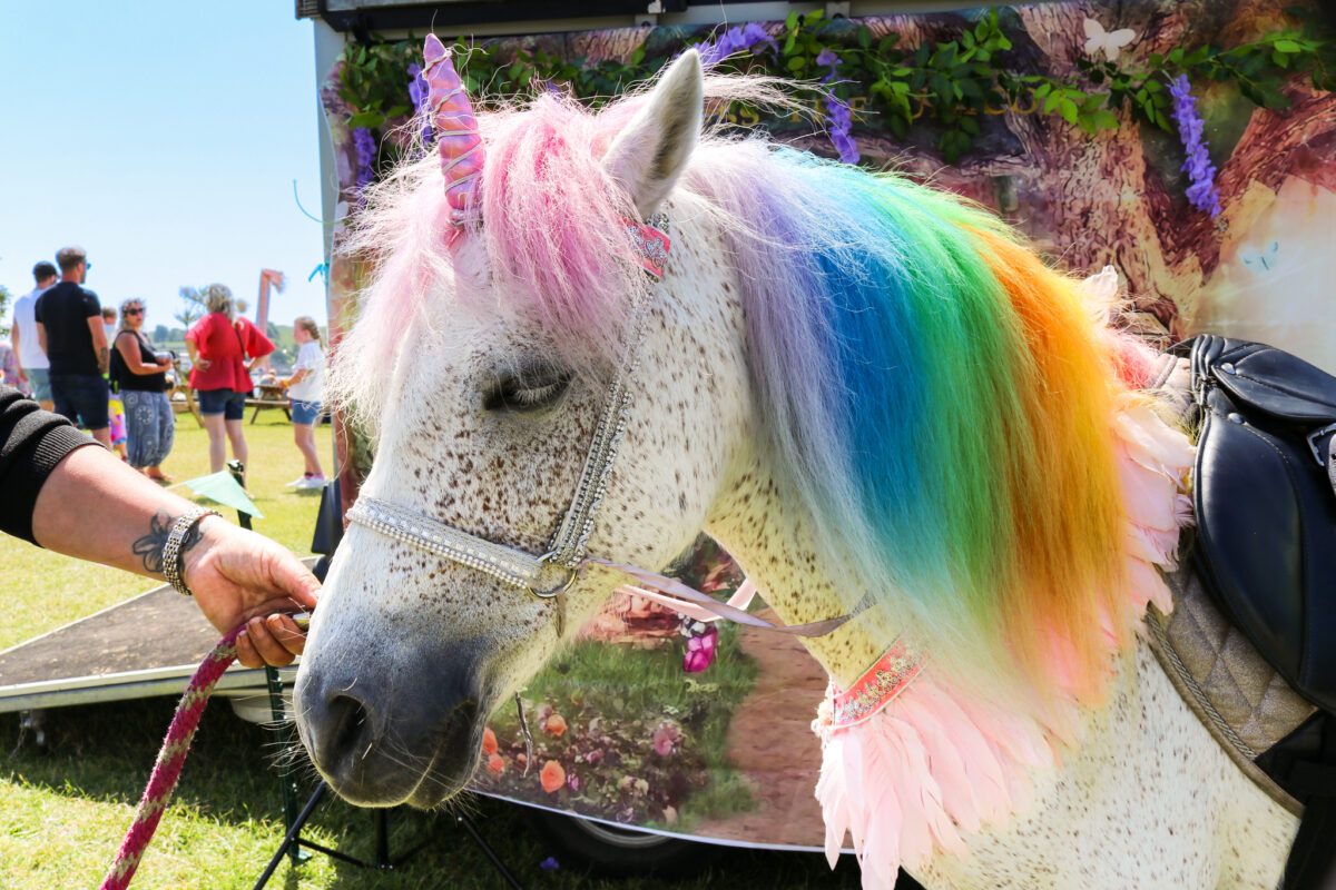 Unicorn at the Swanage Fairy Festival