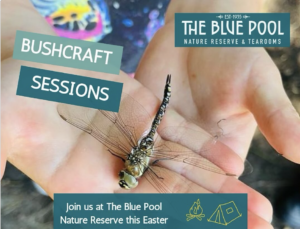Blue Pool Bushcraft Sessions poster