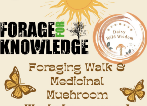 Forage for Knowledge medicinal mushroom poster