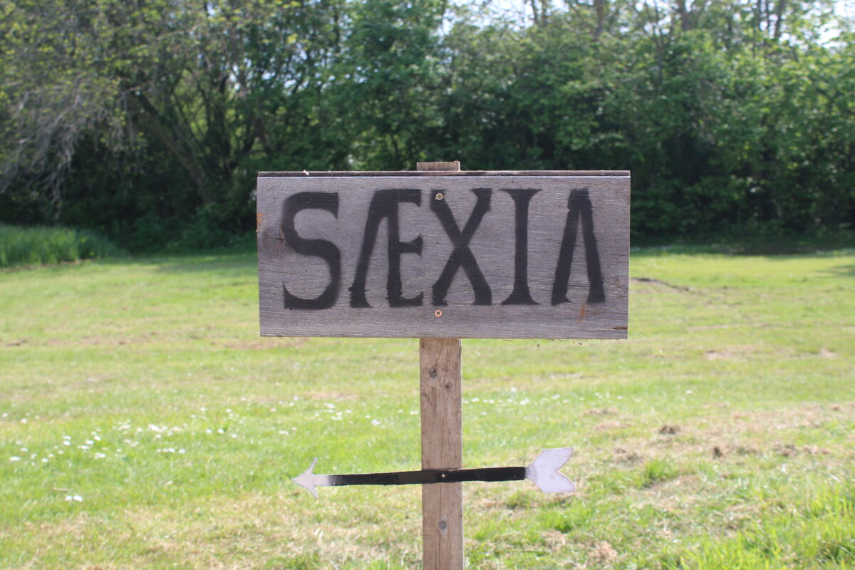 SAEXIA sign